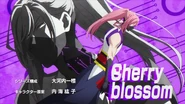 Cherry Blossom in Paradise