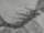 HONG Minxiong