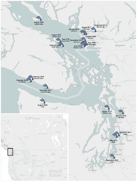 Salish feet