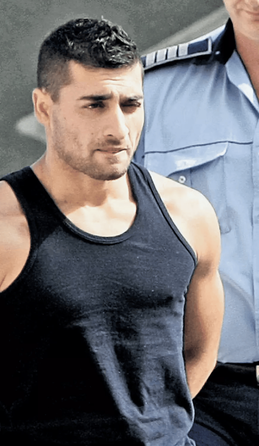 VLAD Nicolae Serial Killer Database Wiki Fandom