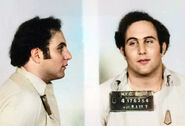 August 11, 1977