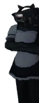Maid Cameraman
