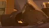 Silver skibidi 1