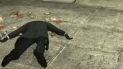 30-deadcameraman
