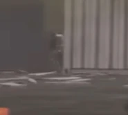 75-BalaclavaHiding.jpeg (87 KB) Ditto, a closeup of him.