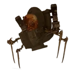 Severely injured appearance