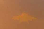 A close up of an Obliterator Astro Toilet flying.