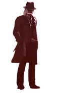 No.5