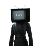 TVWomanImageBox.png (76 KB) TV Woman