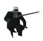 Car Driver Cameraman ?