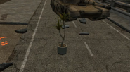A leak of a Potted palm tree with two branches.
