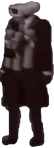 Kamikaze Cameraman