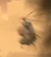 22-ParasiteLeave.png (1.27 MB) Ditto, leaving.