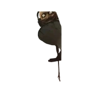 62-GiantStriderSTInfoBox.png (46 KB) Headphone Equipped & Standing upright (Episode 62 only)