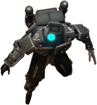 1.3 appearance.