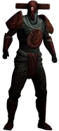 The Knight