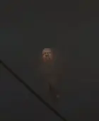 Скибиди-Вертолёт Пулемётчик