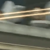 LargeCameramansFallingDown.gif (294 КБ) Из-за выстрела G-Туалета Крупный Камерамен упал с моста.