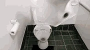 How-to-basic-how-to-basic-toilet
