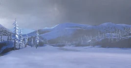 Вид на территорию