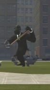 Дебют