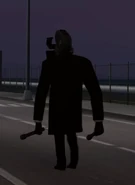 Большой Камерамен.