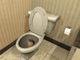 Skibidi toilet