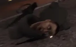 В Эпизоде 66