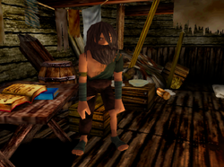 Robinson screenshot.png