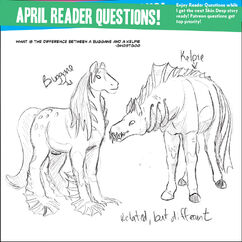 Readerquestions2016-47.jpg
