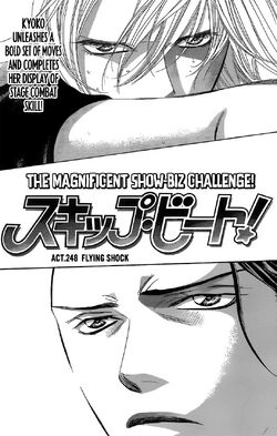 Chapter 248