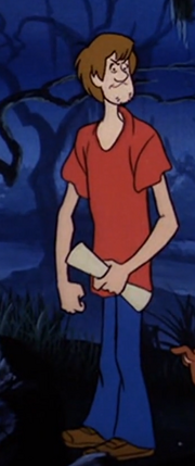 Shaggy's Design in the 80s