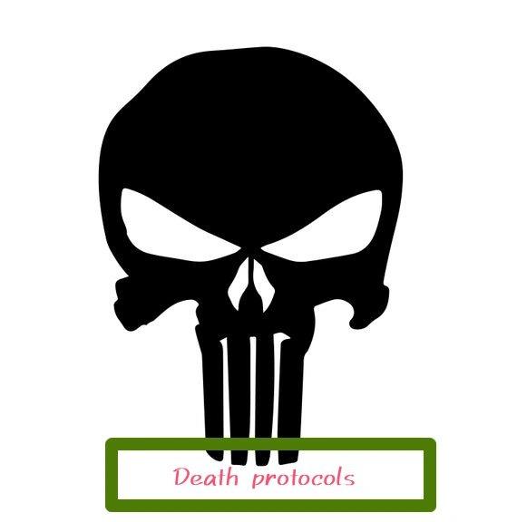 Death Protocols | Skull girl cinematic universe Wiki | Fandom