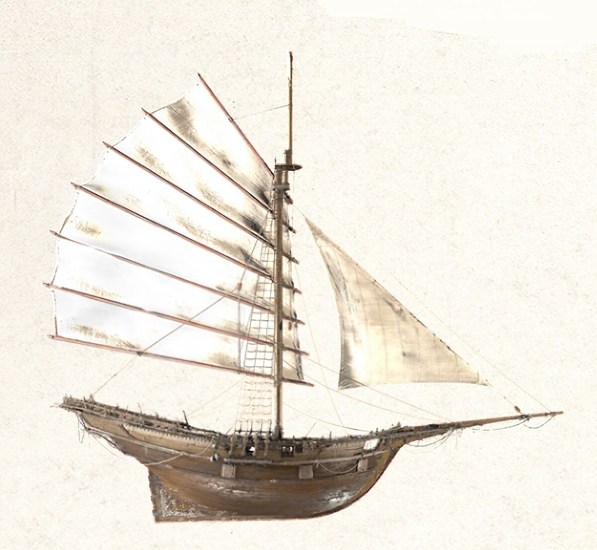 Bedar Wiki Skullandbones France Fandom bedar-wiki-skullandbones-france-fandom