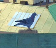 Second perched pigeon