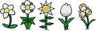 The five different types of flowers that come into bloom during Squigly's Daisy Pusher Blockbuster.