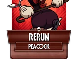 Rerun