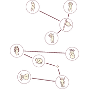 03 Forest Constellation.png (1.45 MB)