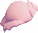 Concha Rosa 4 a 82