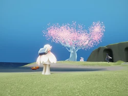 Árvore do Florescer de 2021