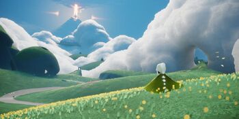 Вид