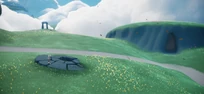 Butterfly Fields