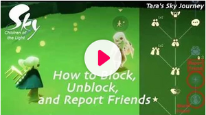 Block-unblock-report-video