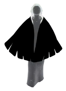 Wasteland-Spirit-Stealthy-Survivor