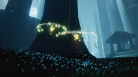Light Blooms growing from a tree
