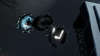 Trapped manta