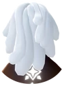 O Cabelo (trás)