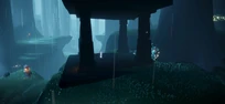 Beneath Forest's Hollow Tree