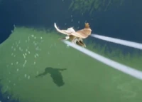 Skykid-Shadow.png (241 kB) A sombra de uma Criança de Sky - observe como não há nenhuma Capa ao redor do contorno da sombra