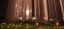 StarForest12.jpg (343 kB) Floresta LA 17
